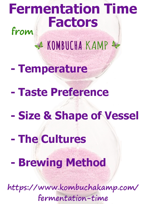 How Long To Brew Kombucha