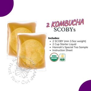 2 Kombucha SCOBY Cultures