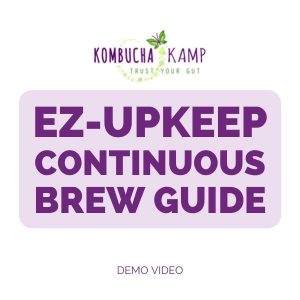 Continuous Jun/Kombucha UP Keep Video Guide Online