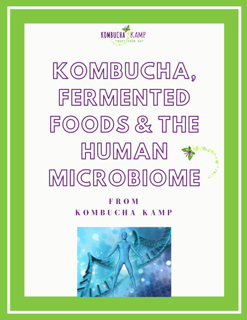 Kombucha & Human Microbiome