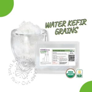 Water Kefir Grains