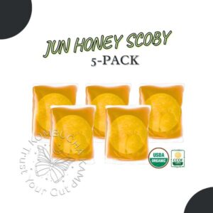 Culture Jun SCOBYS - Pack of 5, Fresh Jun Cultures for Sale