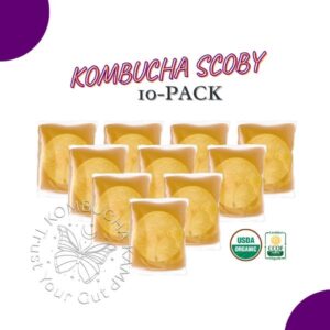 Cultures Kombucha Scobys - Pack of 10, Fresh Kombucha Scobys for Sale